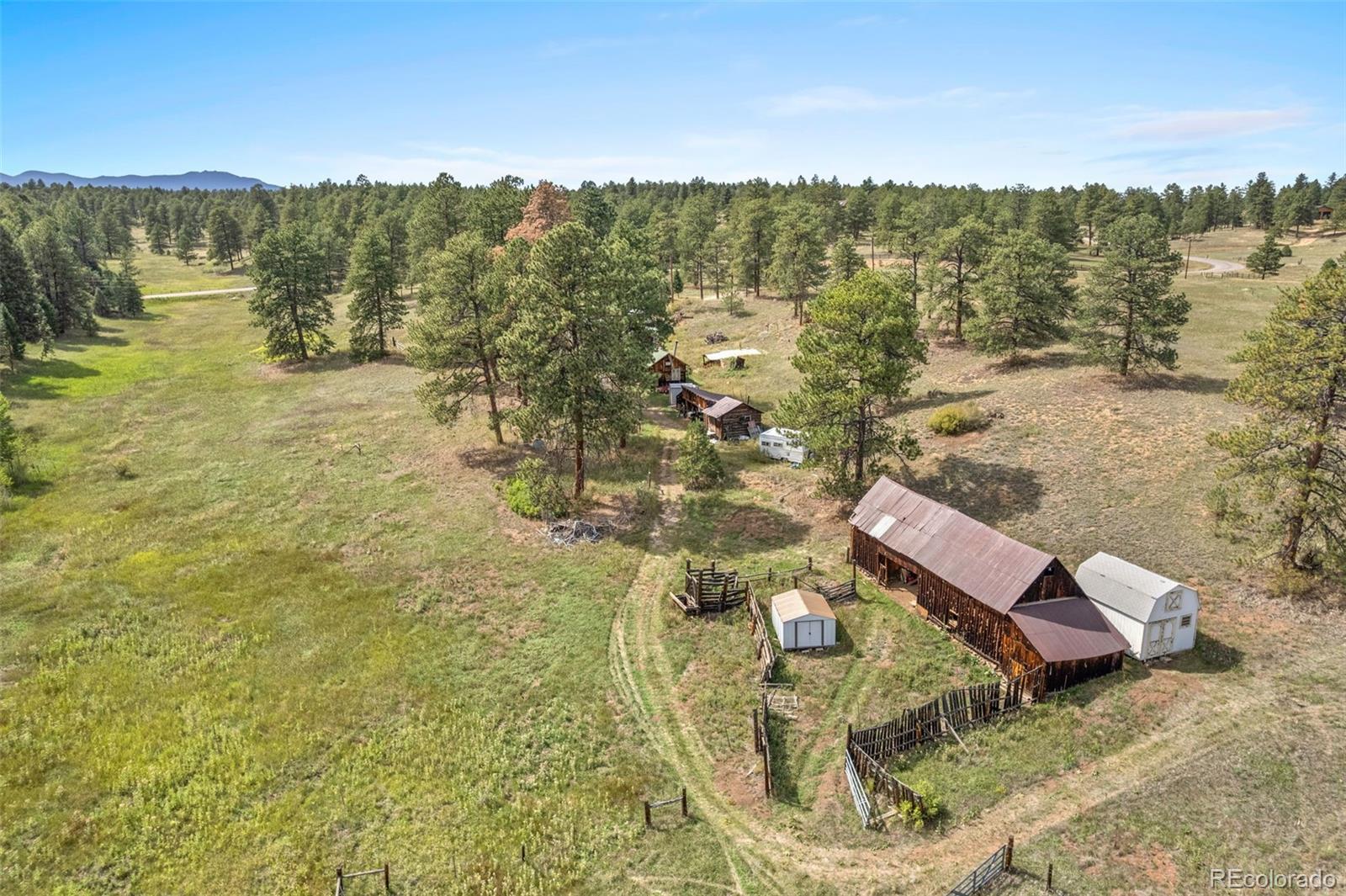 MLS Image #33 for 21555  spring creek road,buffalo creek, Colorado
