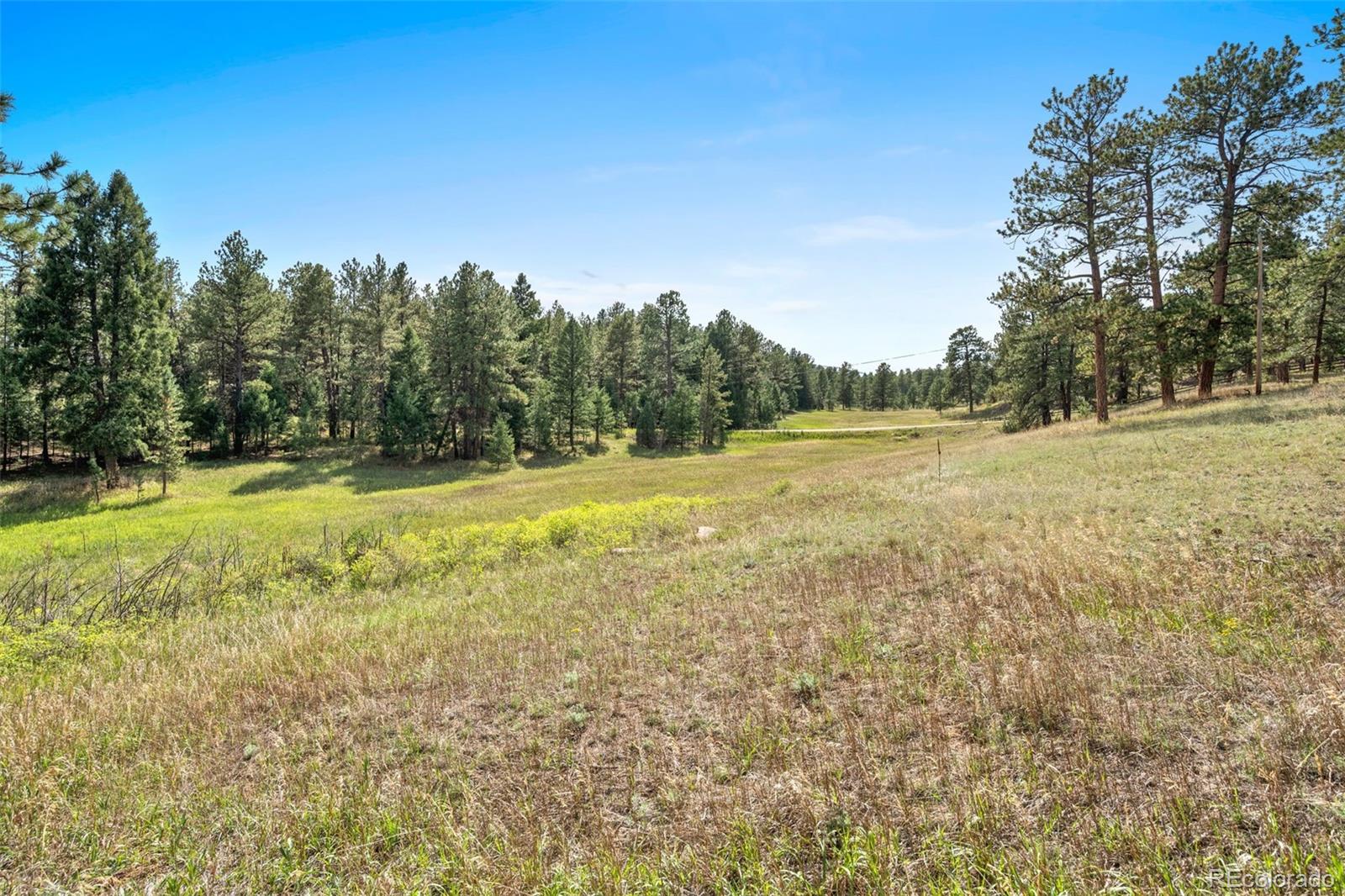 MLS Image #34 for 21555  spring creek road,buffalo creek, Colorado