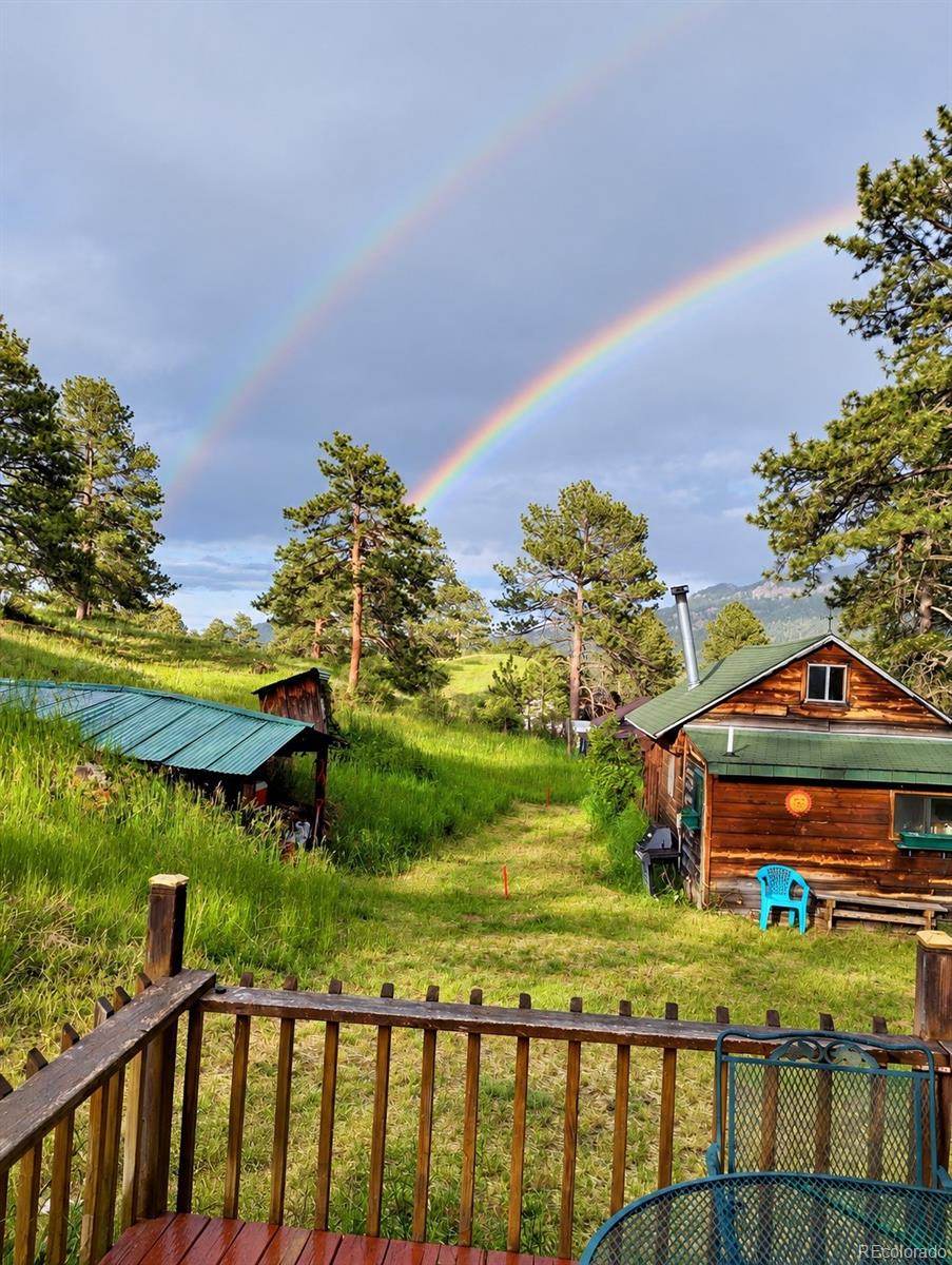 MLS Image #4 for 21555  spring creek road,buffalo creek, Colorado