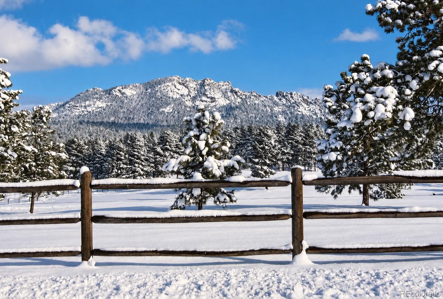 MLS Image #42 for 21555  spring creek road,buffalo creek, Colorado