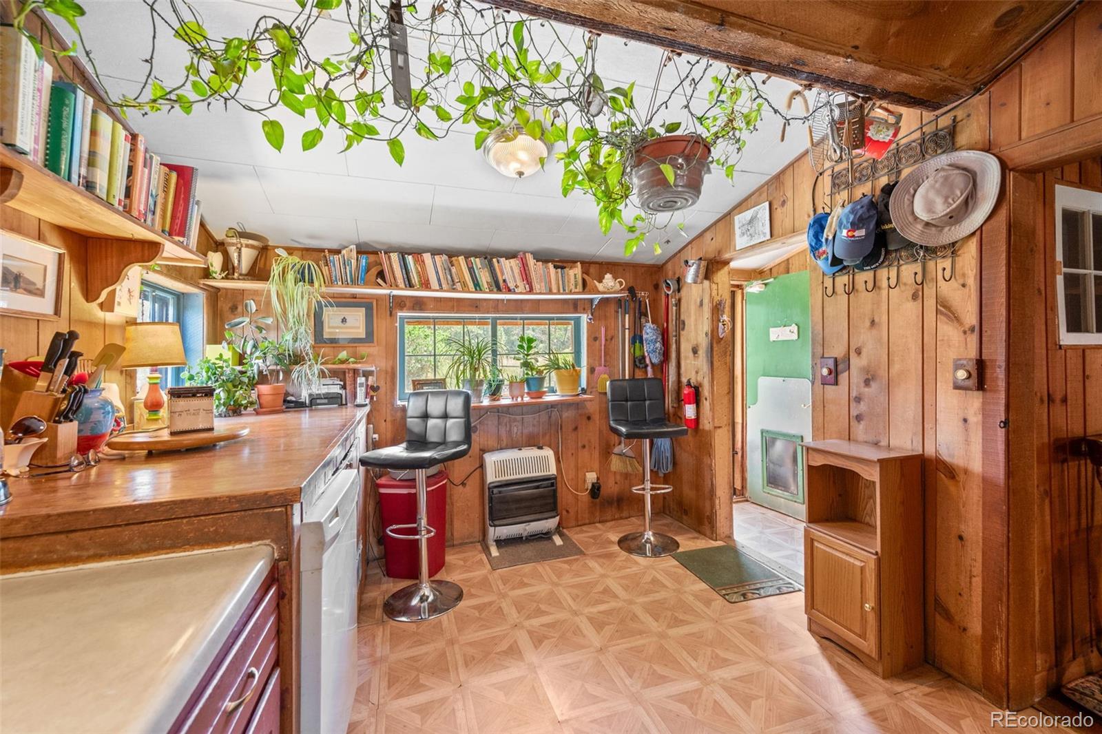 MLS Image #7 for 21555  spring creek road,buffalo creek, Colorado