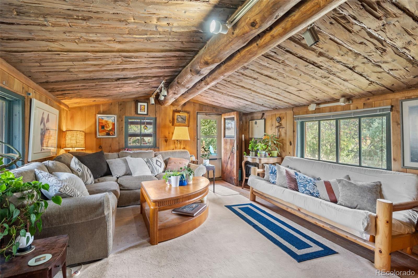 MLS Image #9 for 21555  spring creek road,buffalo creek, Colorado