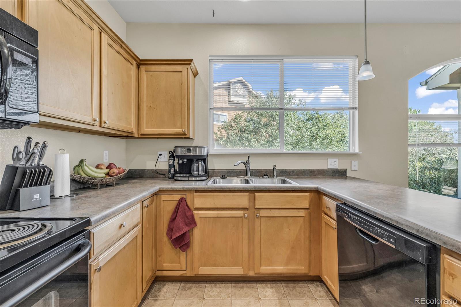 MLS Image #16 for 230  carina circle,loveland, Colorado