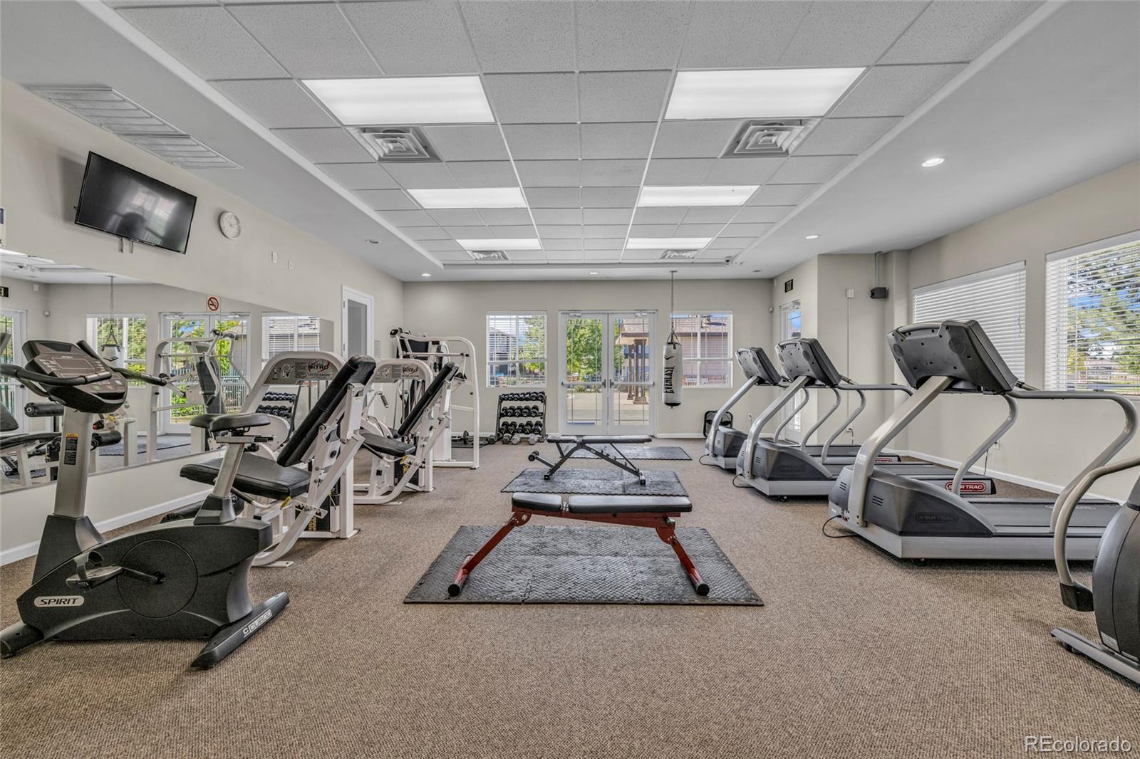 MLS Image #32 for 230  carina circle,loveland, Colorado
