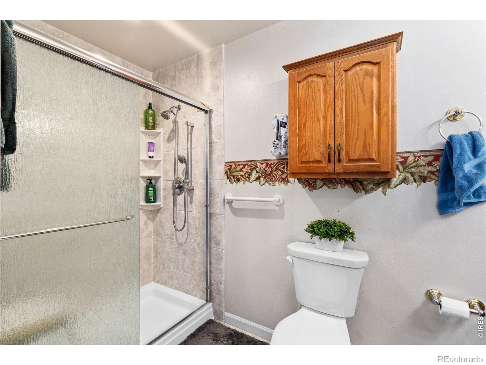 MLS Image #25 for 1840  silver leaf drive,loveland, Colorado