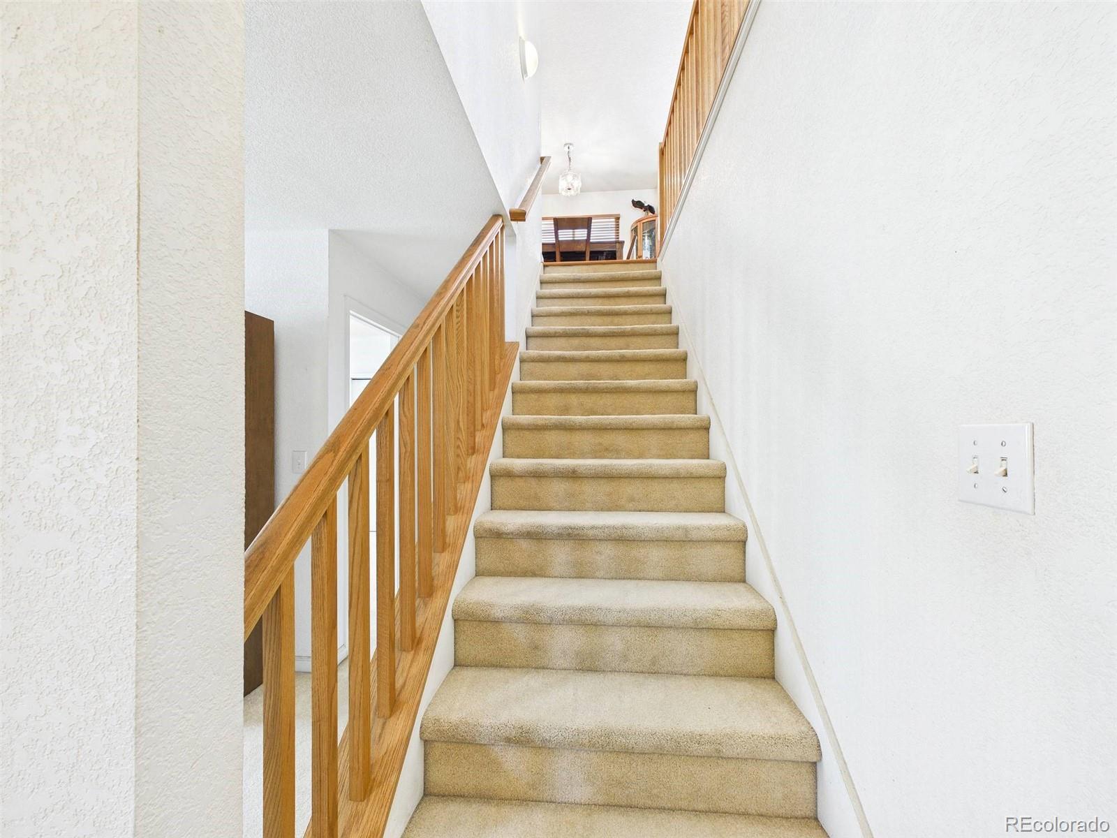 MLS Image #19 for 8250  explorador calle ,denver, Colorado