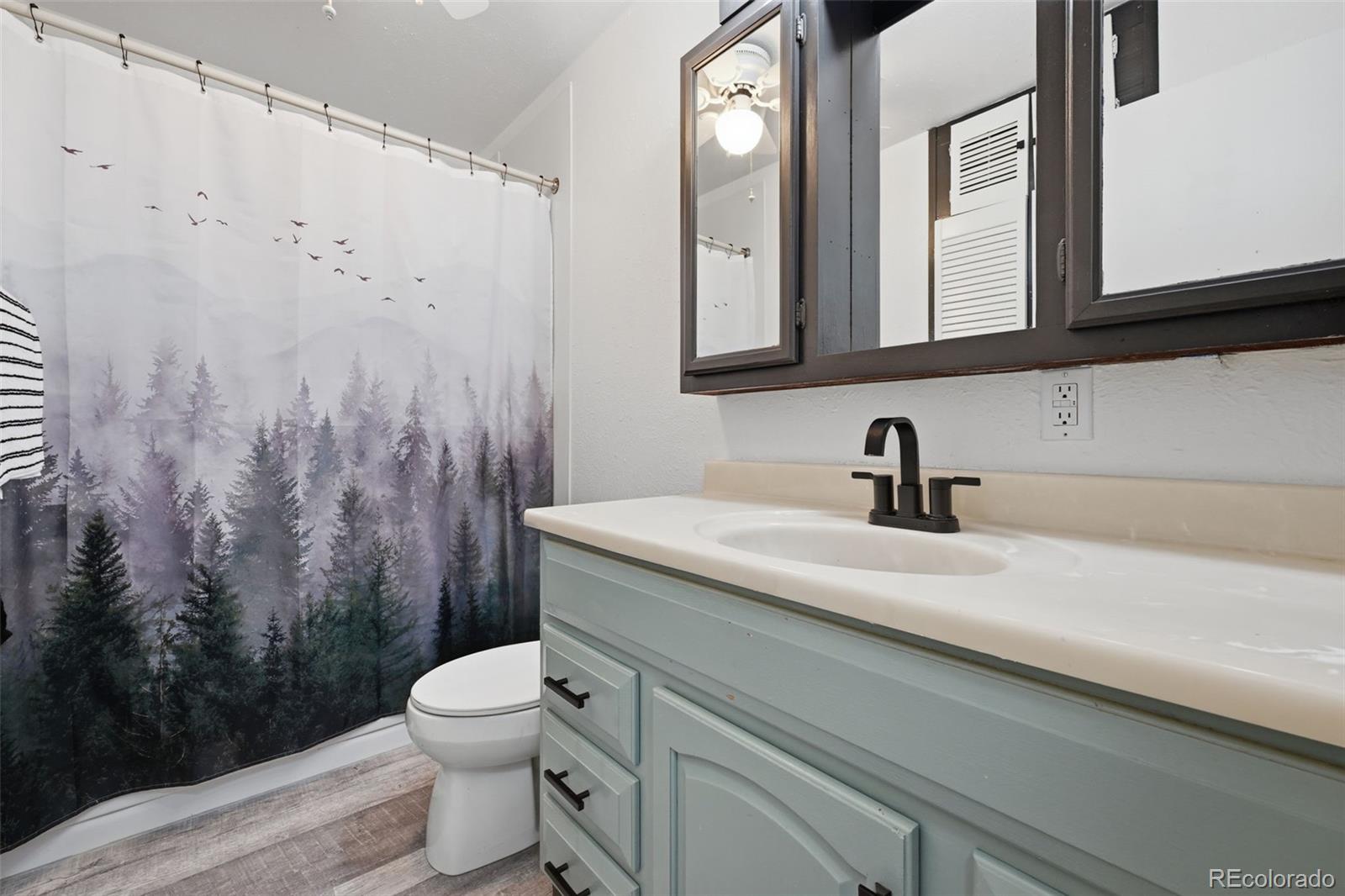MLS Image #17 for 2637  waldean street,colorado springs, Colorado