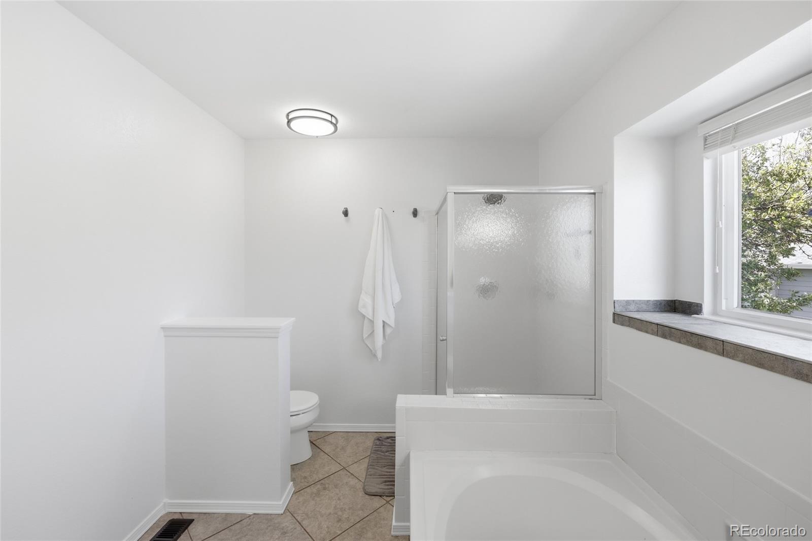 MLS Image #22 for 9339  waterford court,highlands ranch, Colorado