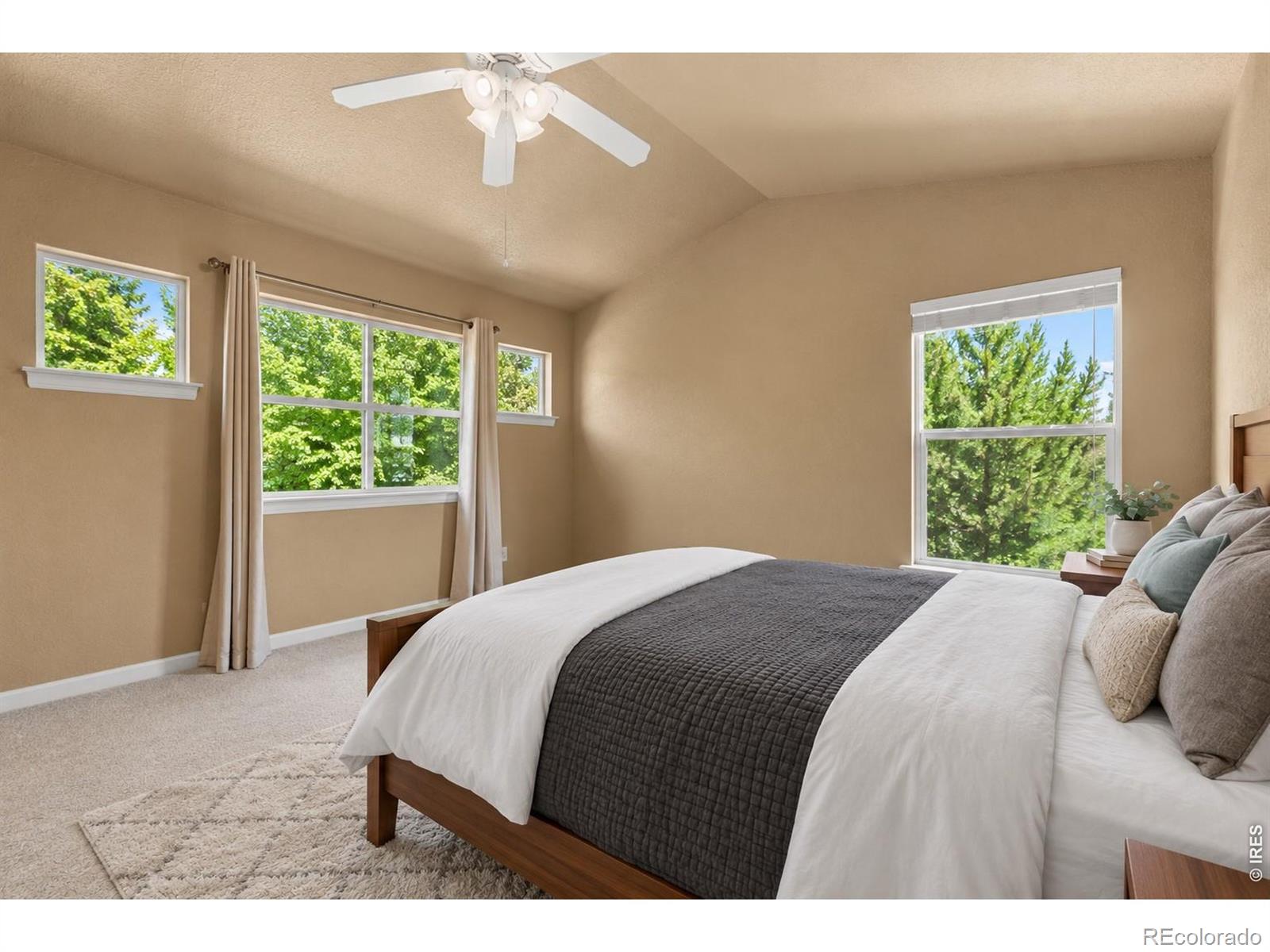 MLS Image #16 for 4042  independence drive,loveland, Colorado