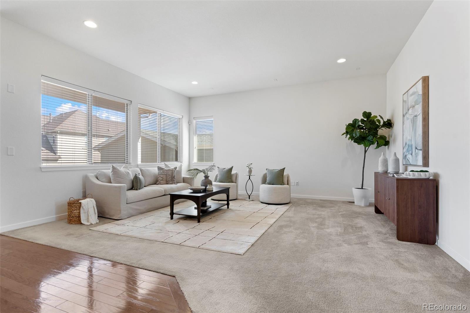 MLS Image #7 for 15807 w 95th avenue,arvada, Colorado