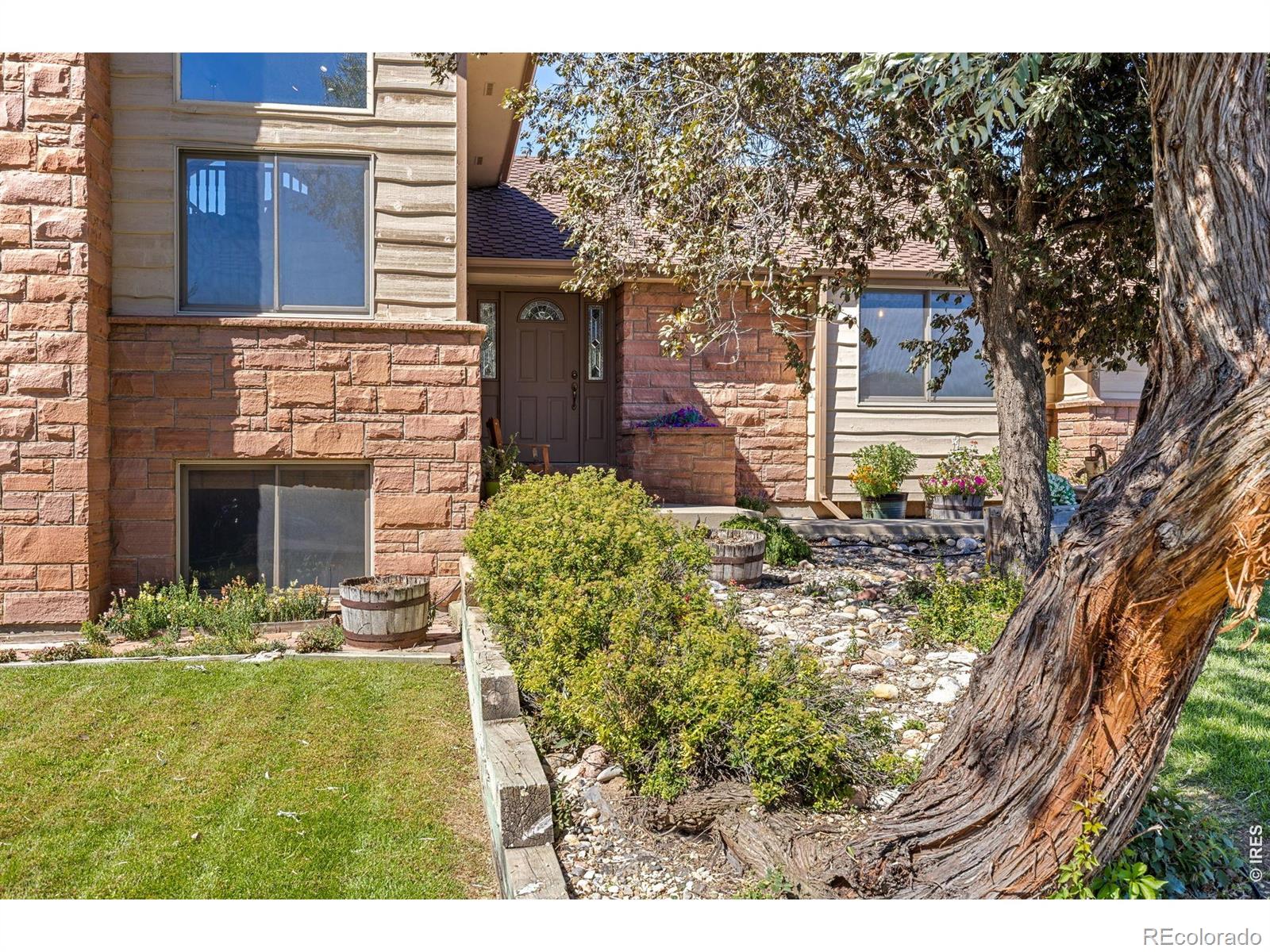 MLS Image #3 for 2909  pronghorn court,loveland, Colorado