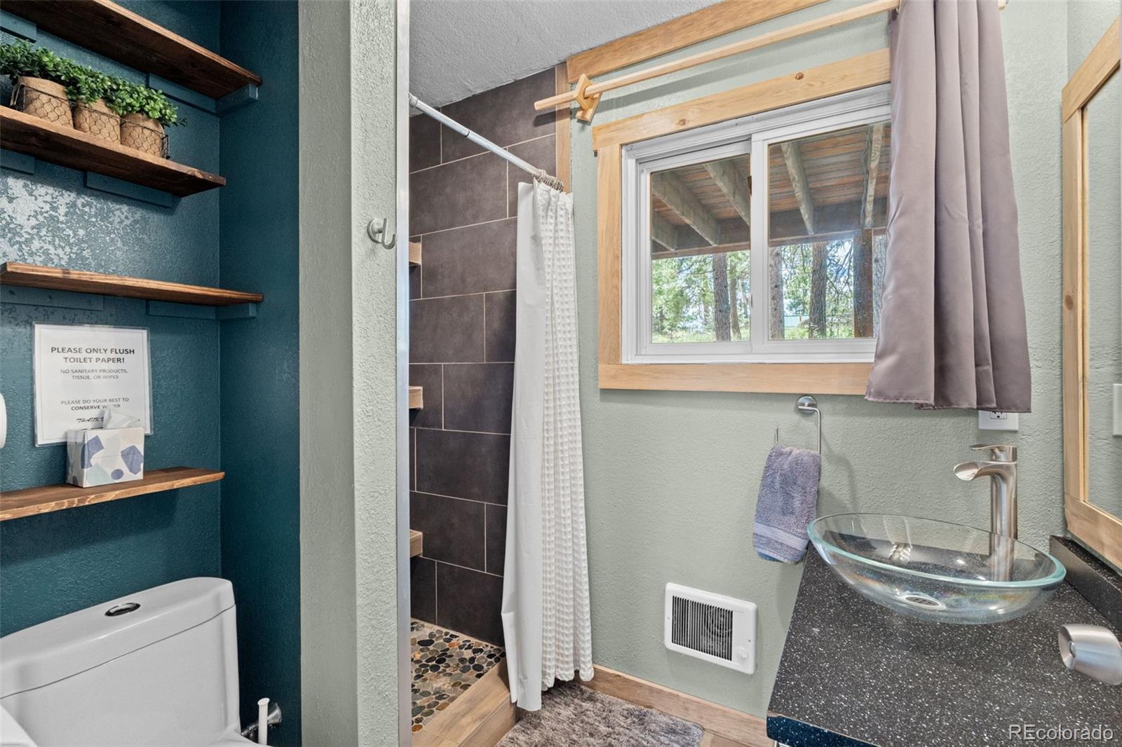MLS Image #11 for 1933  roland drive,bailey, Colorado