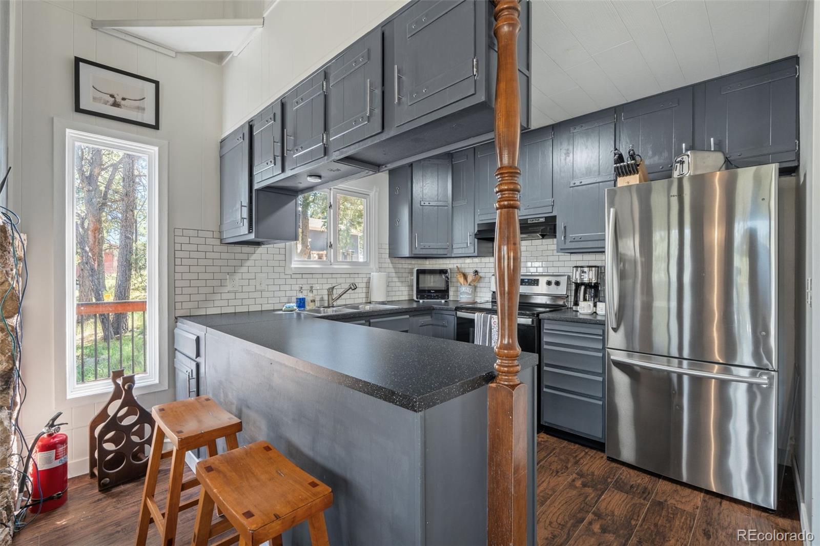 MLS Image #19 for 1933  roland drive,bailey, Colorado