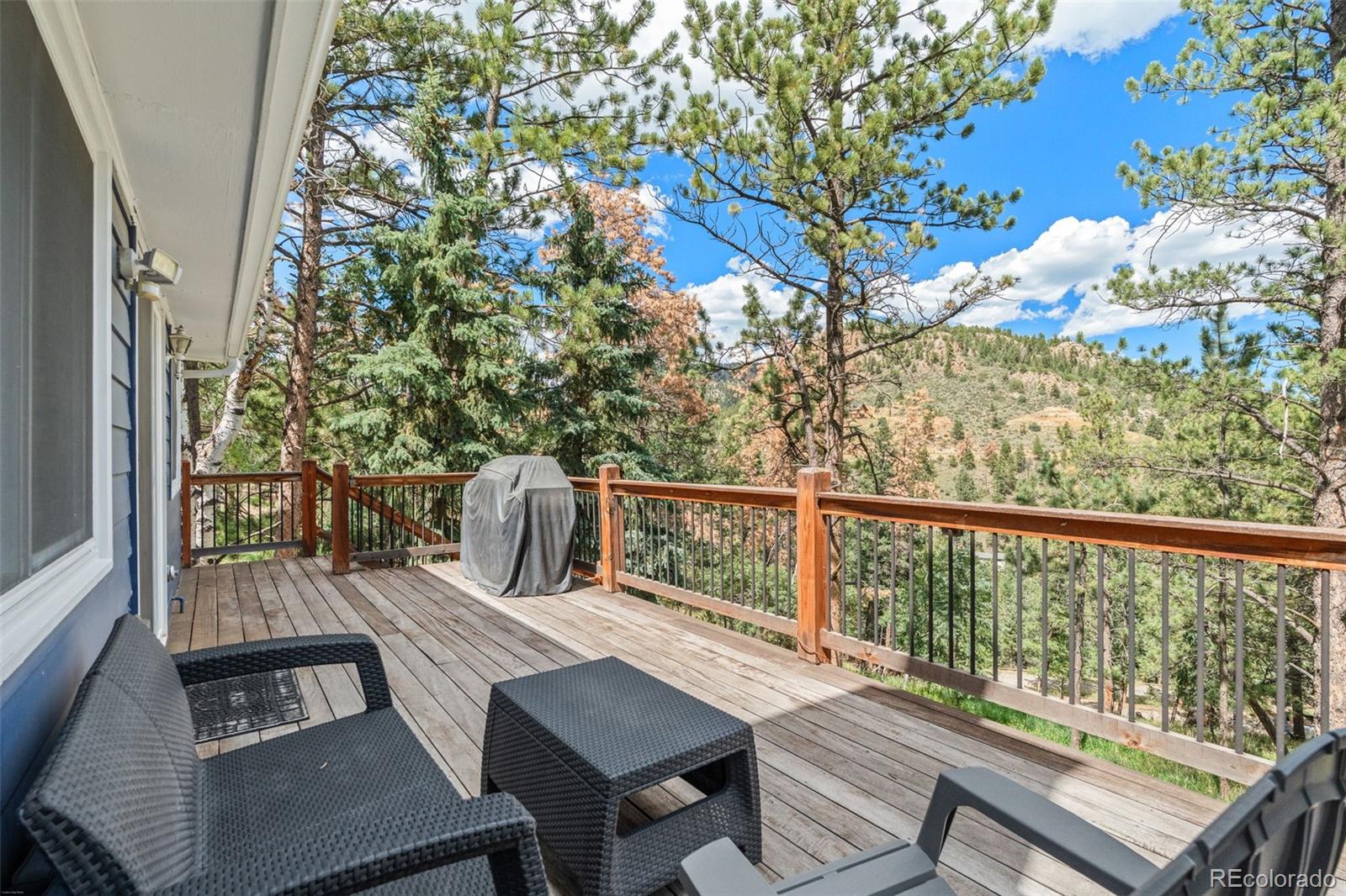 MLS Image #29 for 1933  roland drive,bailey, Colorado