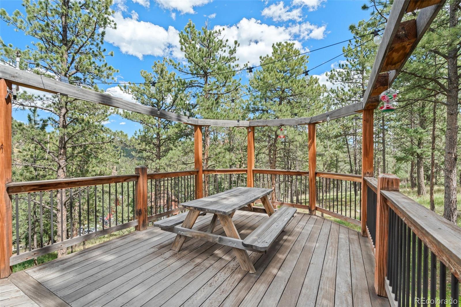 MLS Image #38 for 1933  roland drive,bailey, Colorado
