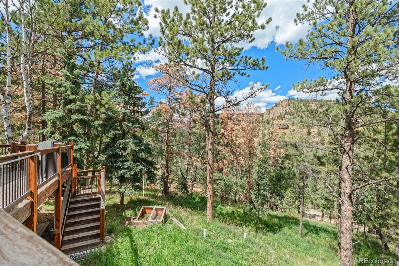 MLS Image #40 for 1933  roland drive,bailey, Colorado