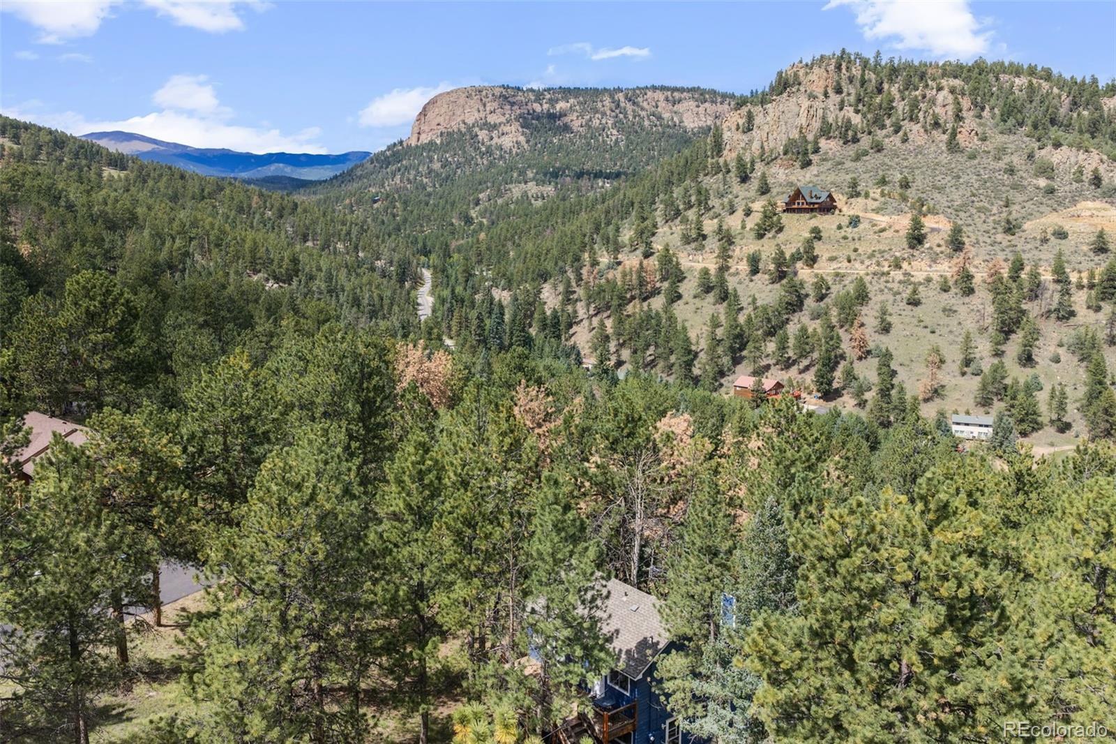 MLS Image #44 for 1933  roland drive,bailey, Colorado