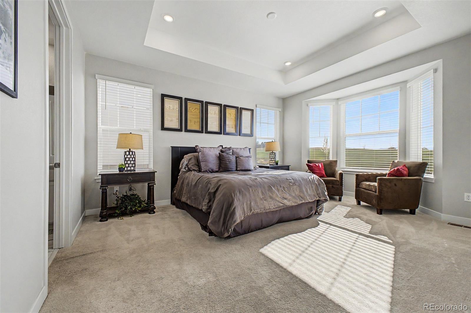 MLS Image #15 for 15375  willow street,thornton, Colorado