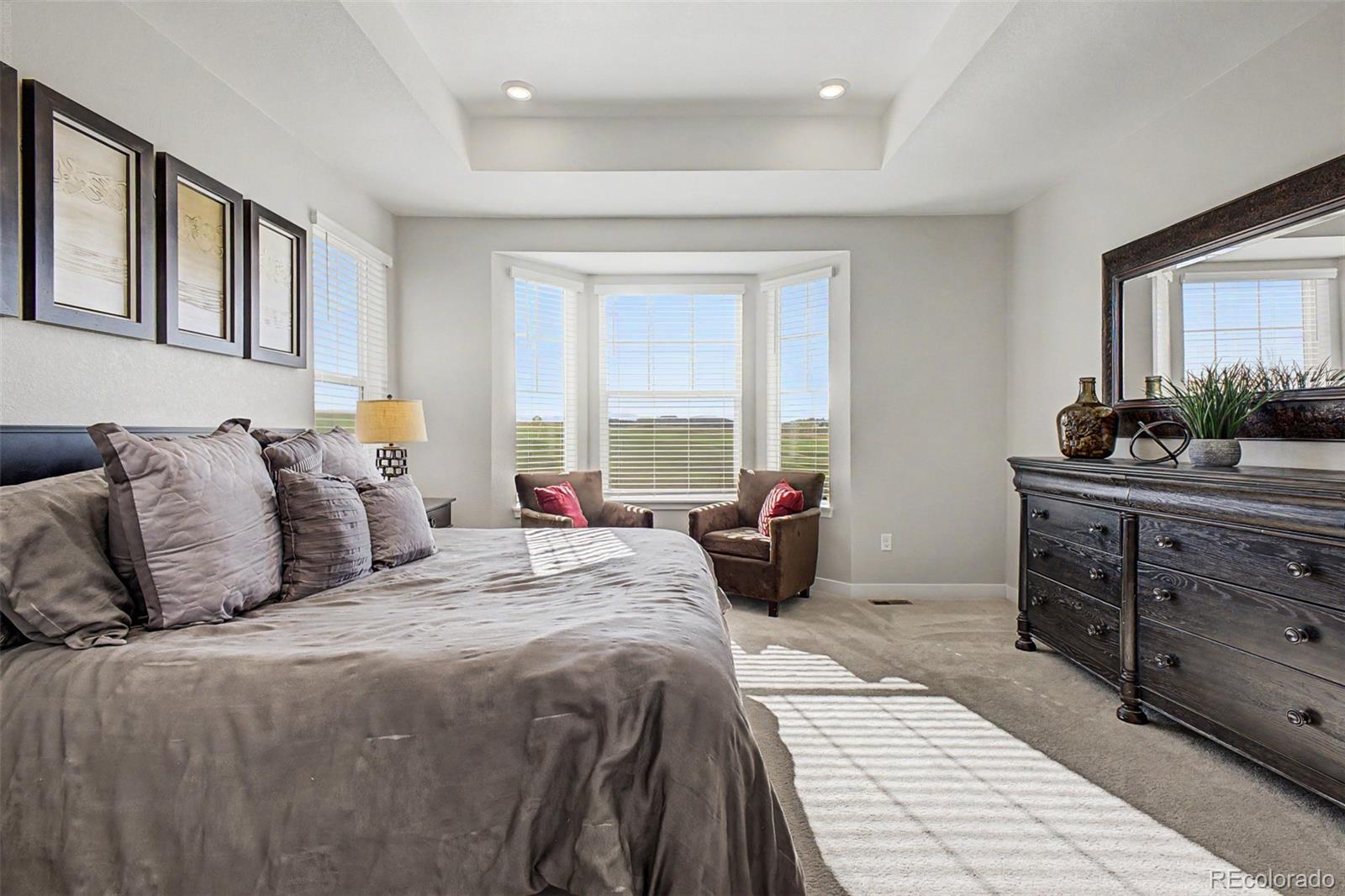 MLS Image #16 for 15375  willow street,thornton, Colorado