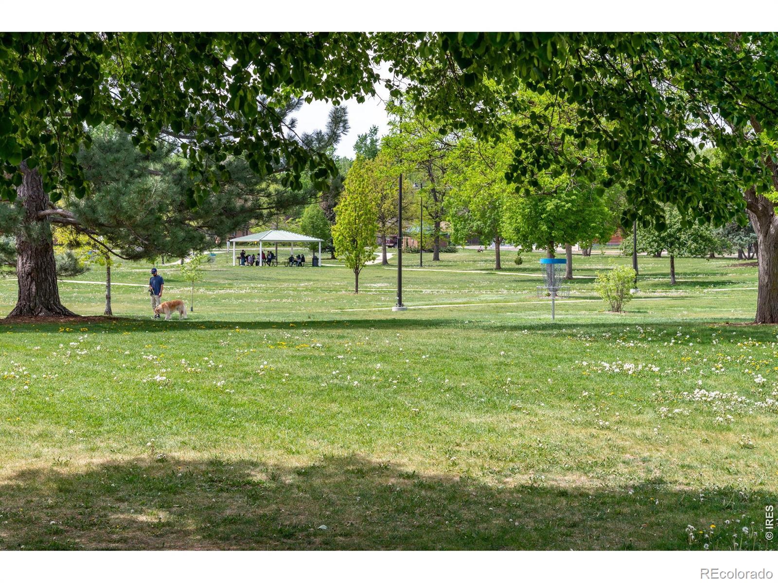 MLS Image #24 for 1266  lanyon lane,longmont, Colorado