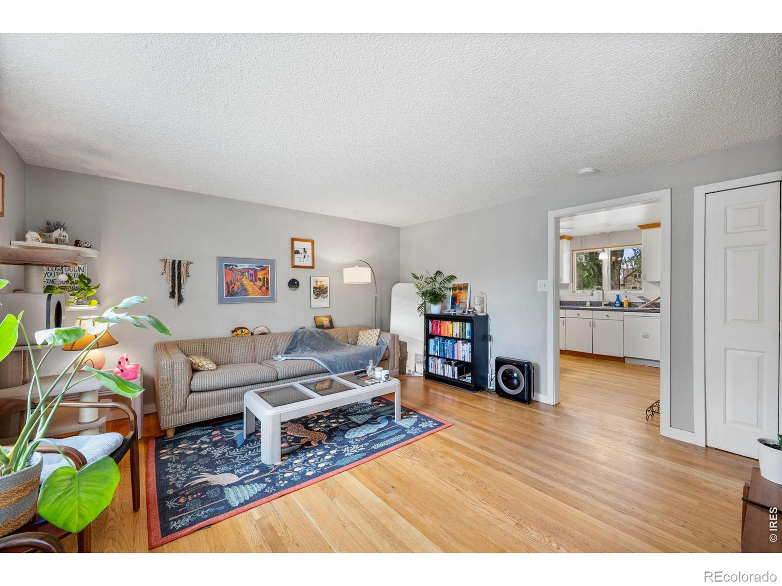 MLS Image #4 for 1266  lanyon lane,longmont, Colorado
