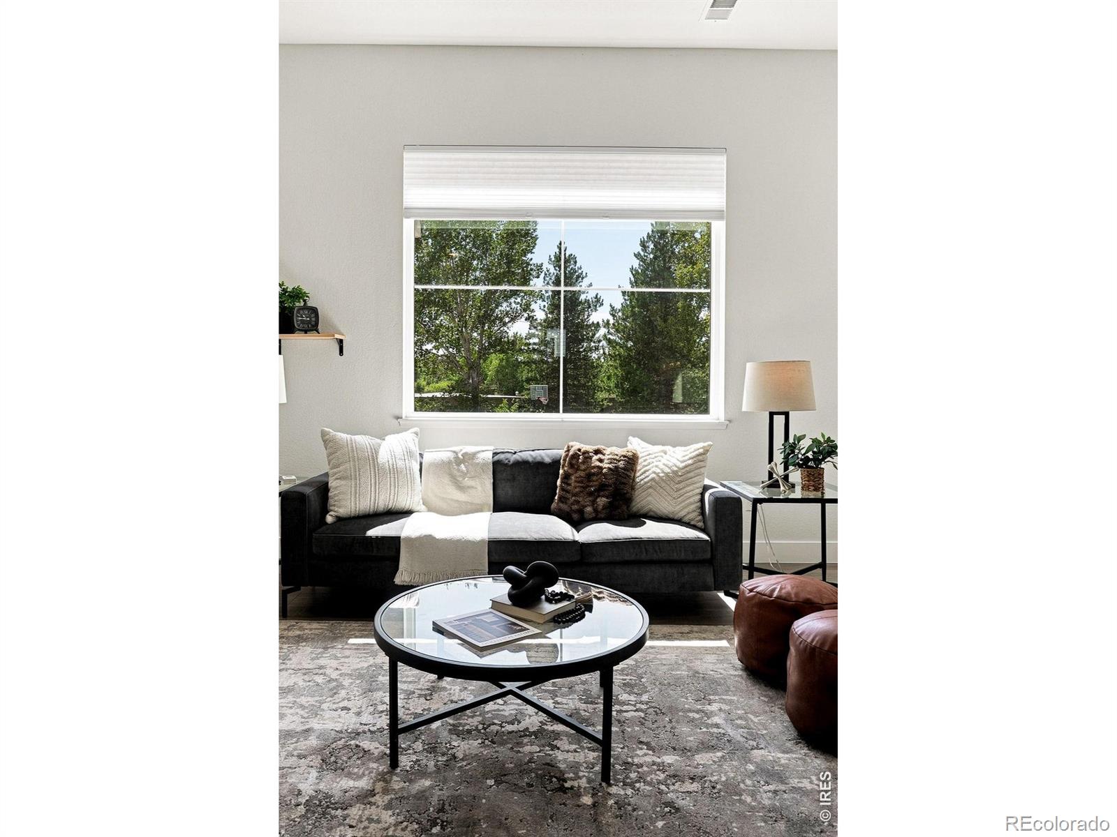 MLS Image #6 for 258  lock street,louisville, Colorado