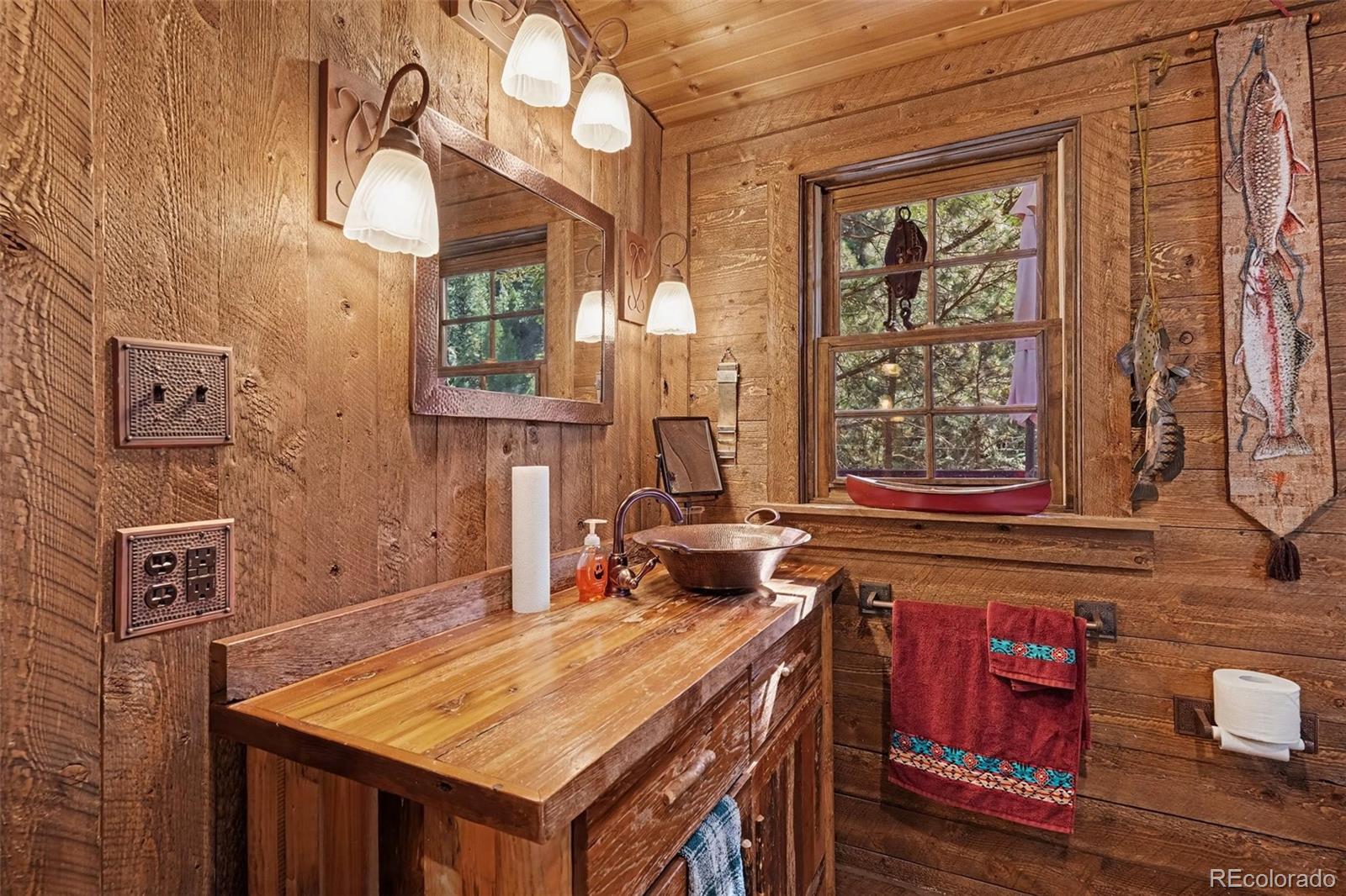 MLS Image #10 for 15751 s elk creek road,pine, Colorado