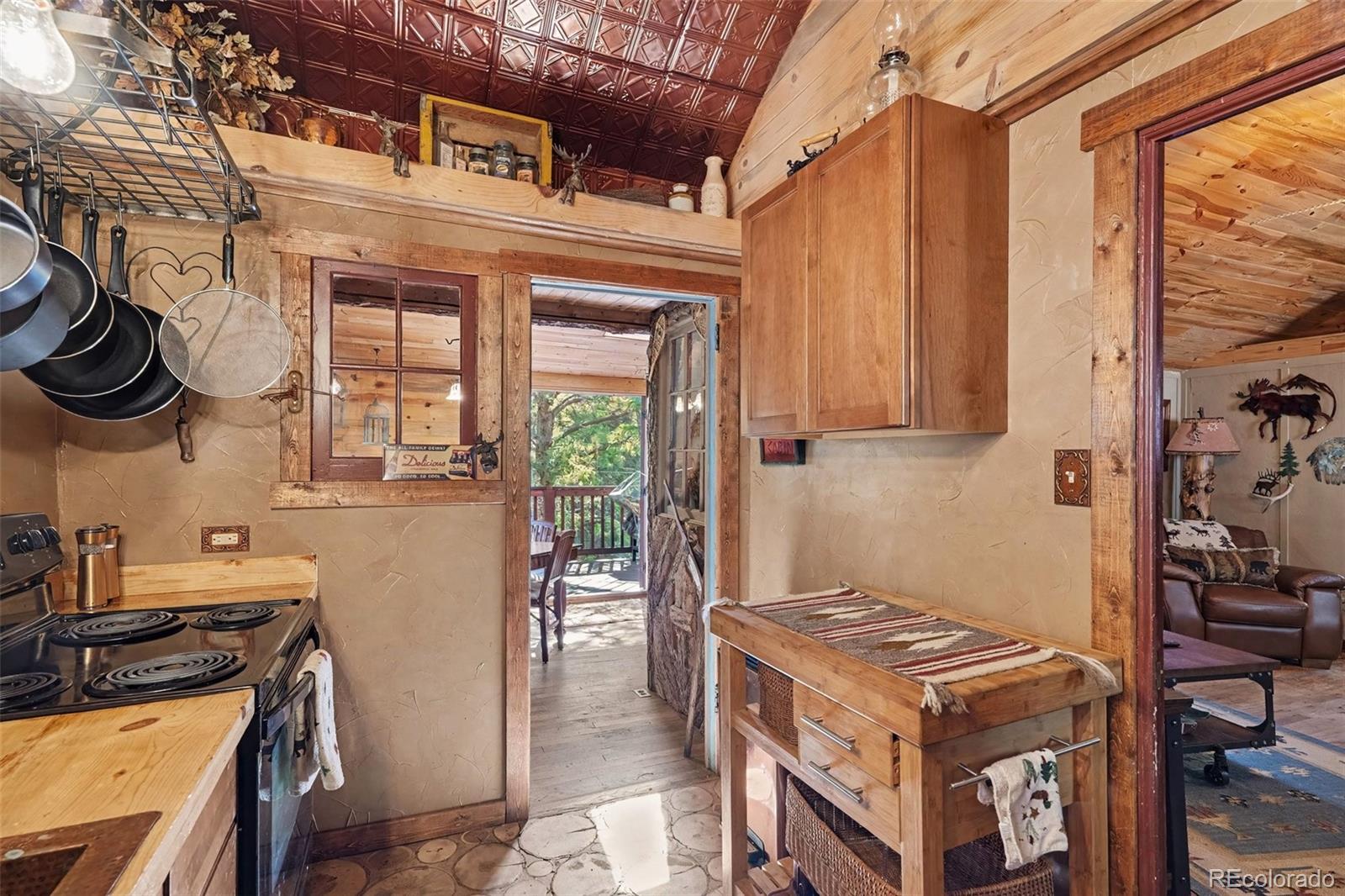 MLS Image #11 for 15751 s elk creek road,pine, Colorado