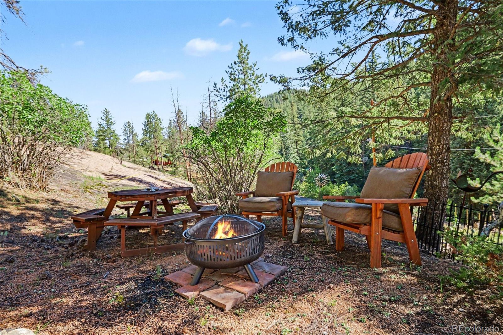 MLS Image #19 for 15751 s elk creek road,pine, Colorado