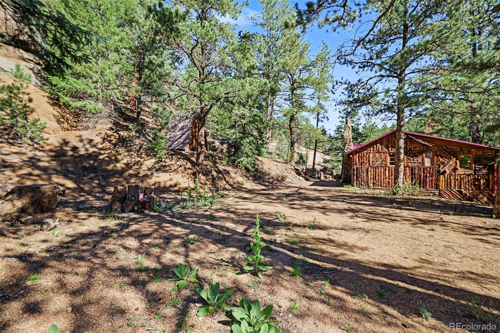 MLS Image #22 for 15751 s elk creek road,pine, Colorado