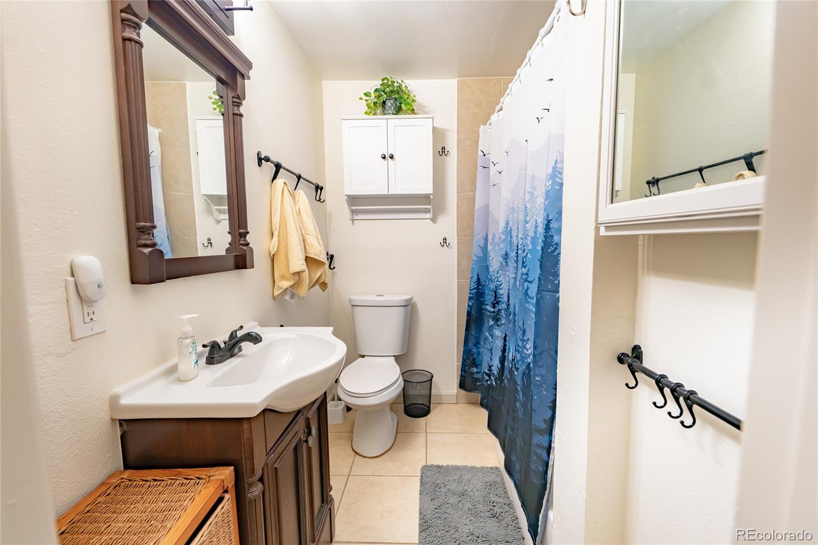 MLS Image #10 for 220  burland drive,bailey, Colorado