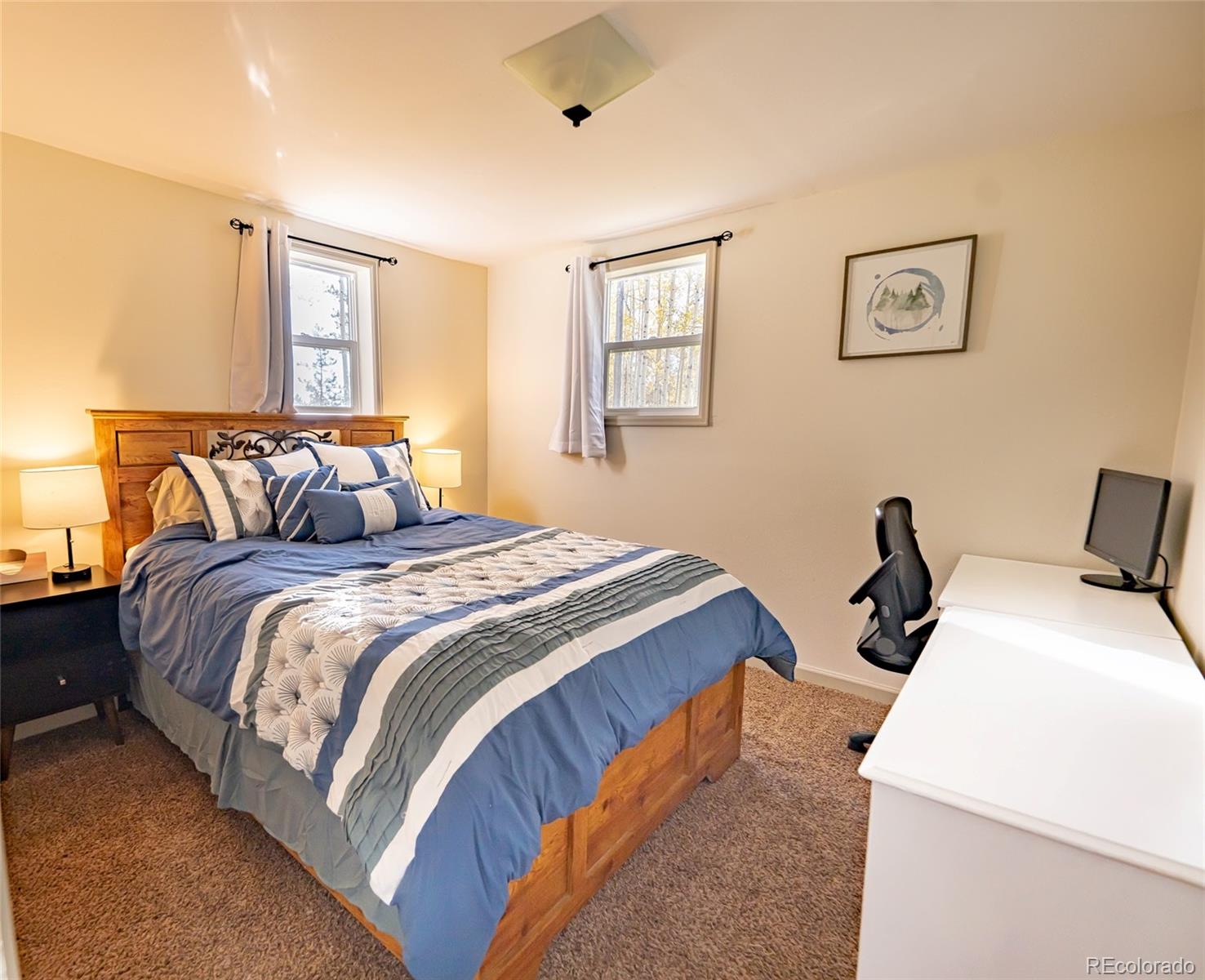MLS Image #7 for 220  burland drive,bailey, Colorado