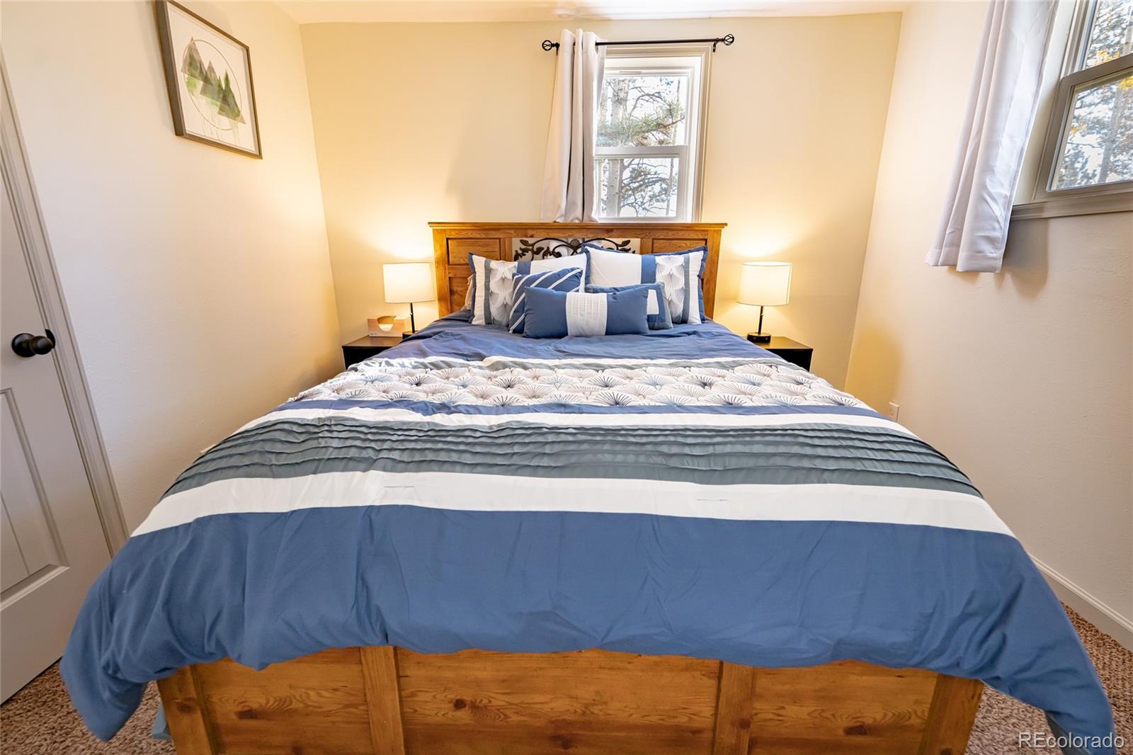 MLS Image #8 for 220  burland drive,bailey, Colorado