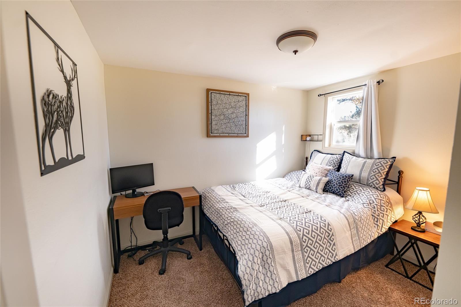 MLS Image #9 for 220  burland drive,bailey, Colorado