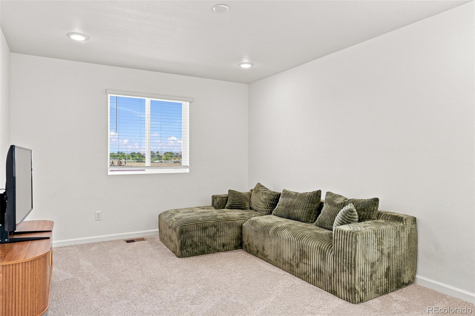 MLS Image #15 for 7077 e 126th place,thornton, Colorado