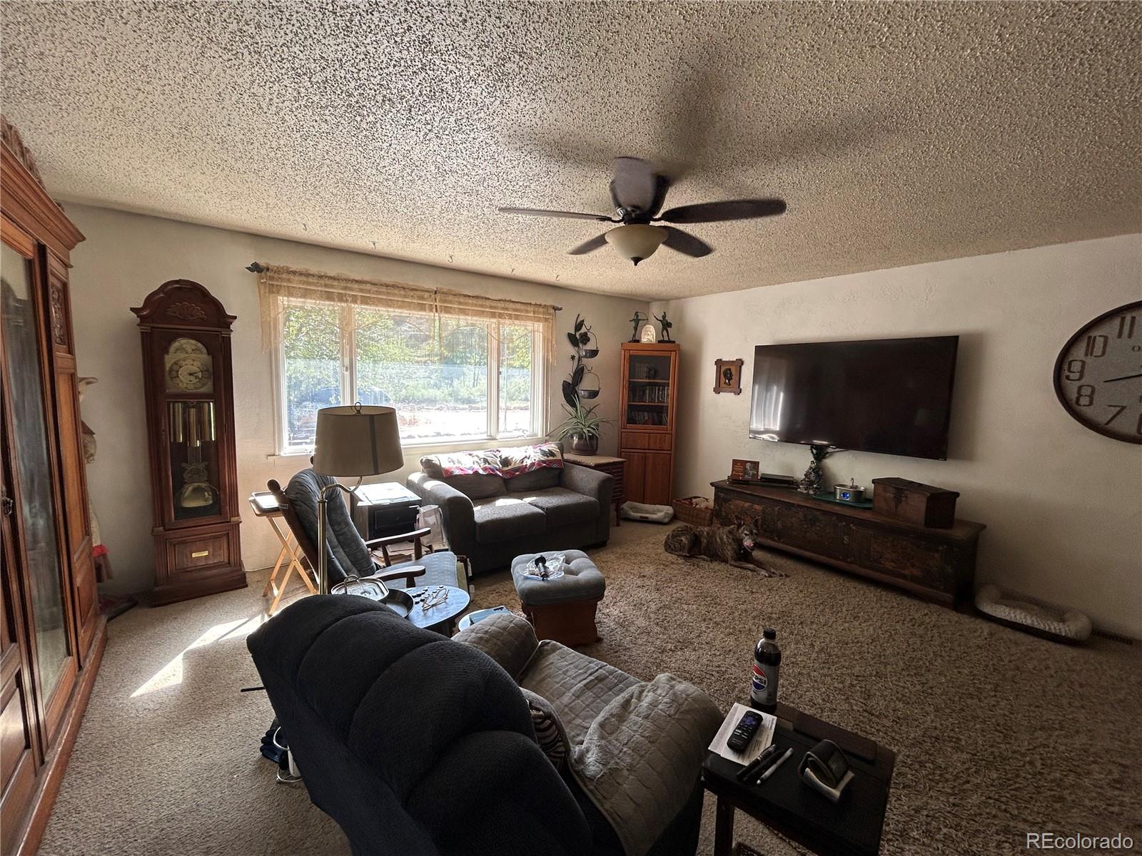 MLS Image #2 for 5281  state highway 115 ,florence, Colorado