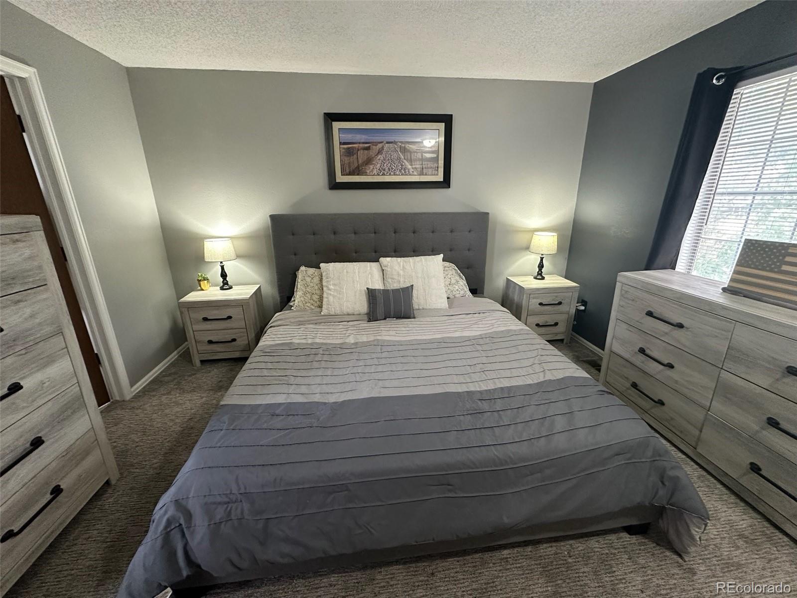 MLS Image #4 for 12537  forest street,thornton, Colorado