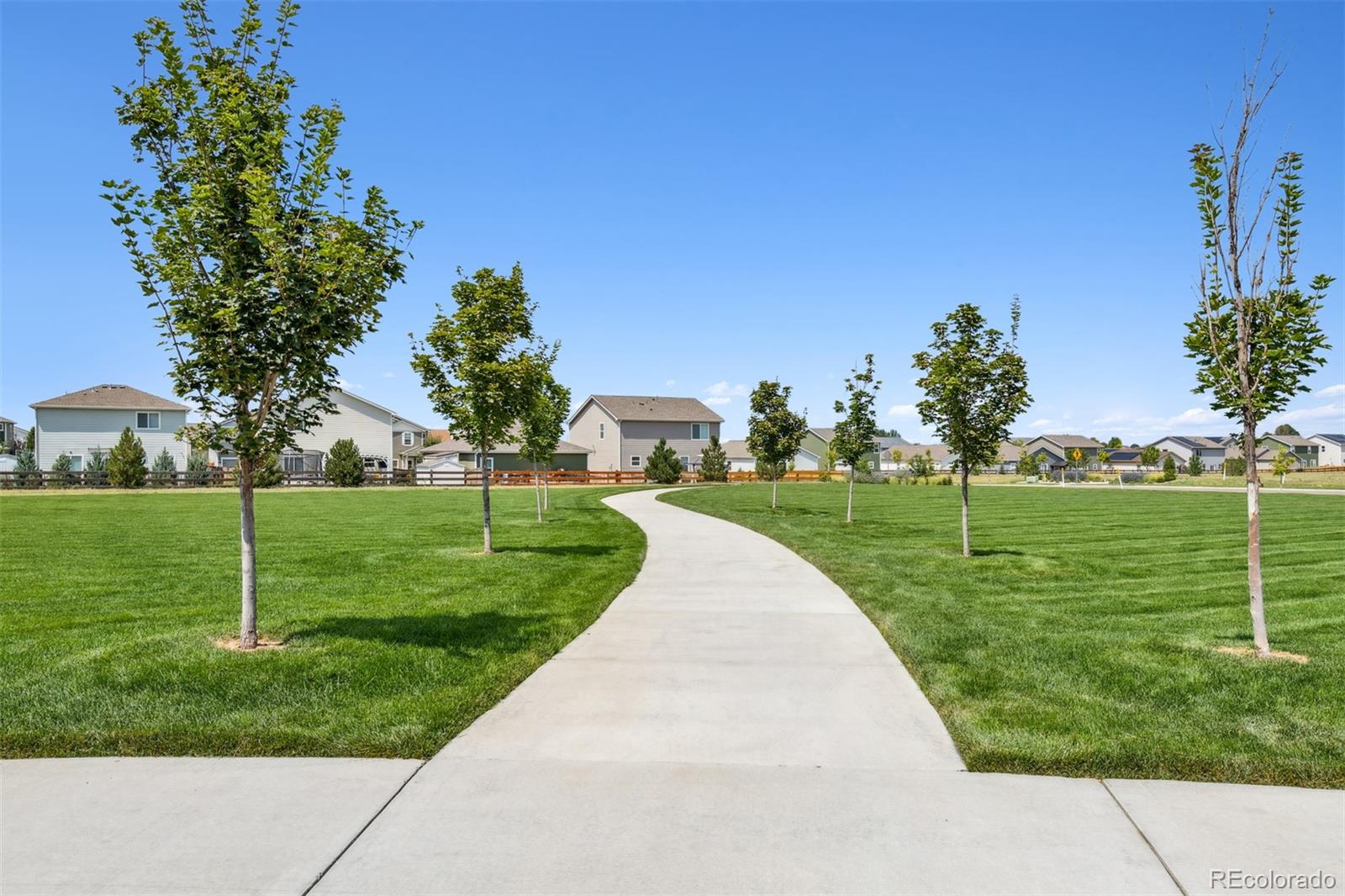 MLS Image #4 for 7409  arkansas street,frederick, Colorado