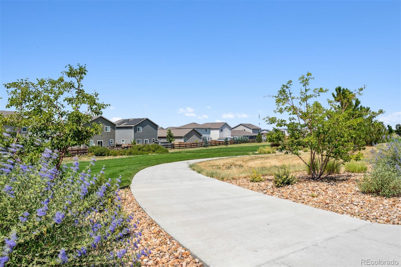 MLS Image #5 for 7409  arkansas street,frederick, Colorado