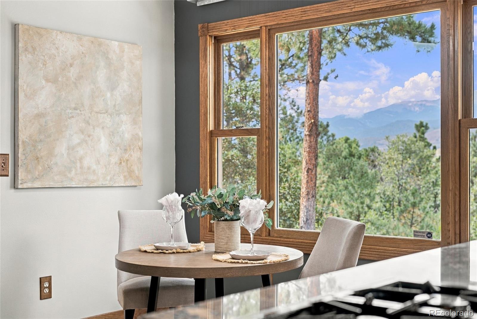MLS Image #12 for 8  raven hill court,colorado springs, Colorado
