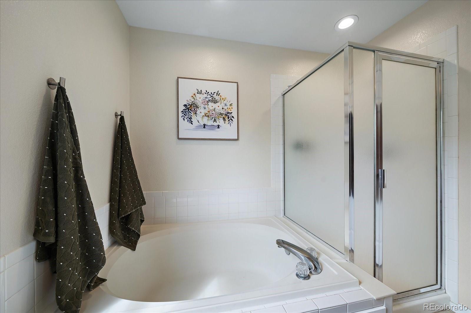 MLS Image #21 for 15769  crystallo drive,parker, Colorado