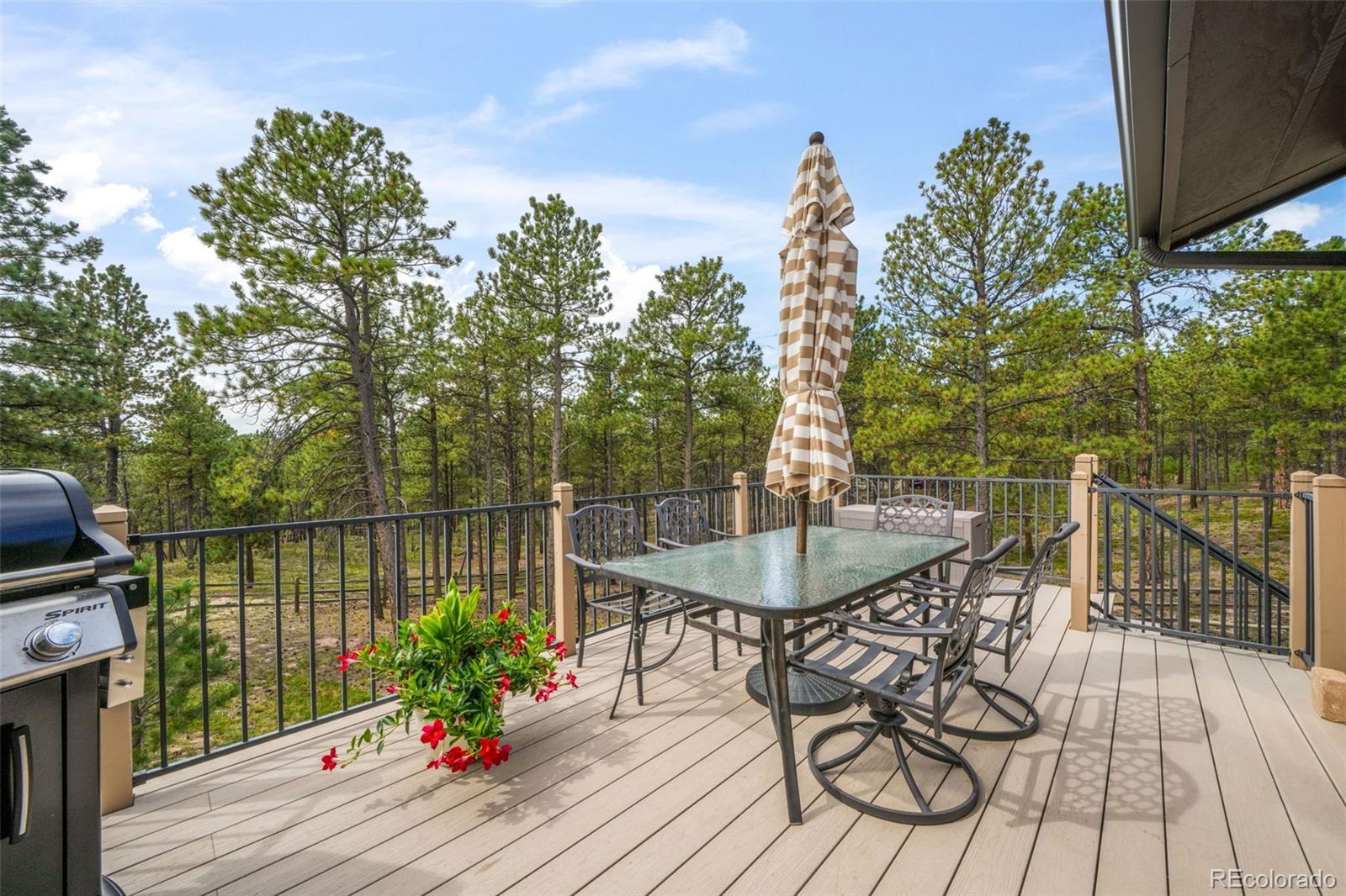 MLS Image #17 for 17715  merryhill court,monument, Colorado