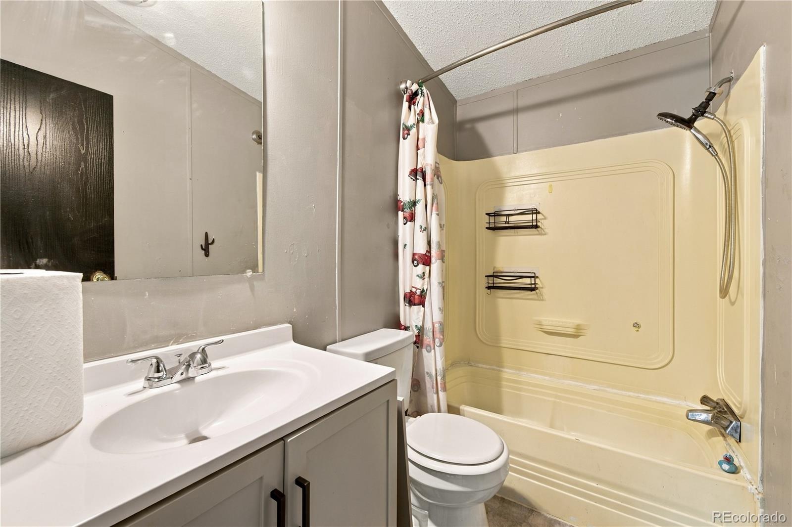 MLS Image #14 for 30 w 8th avenue,coal creek, Colorado