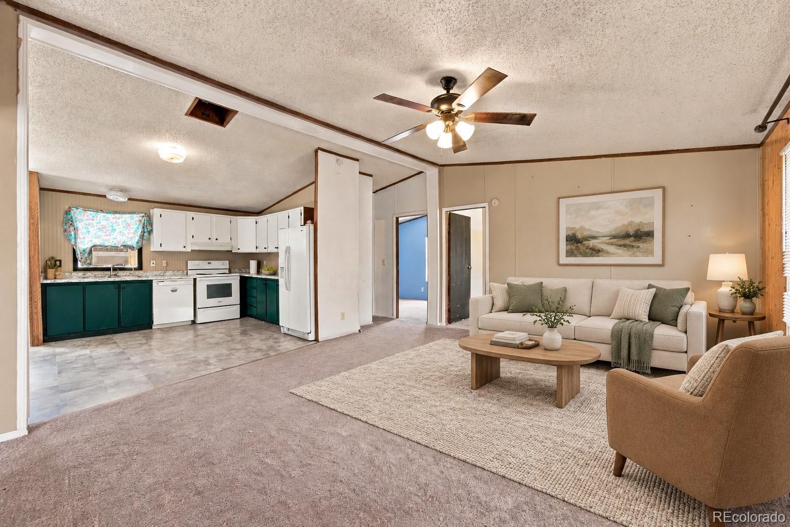 MLS Image #2 for 30 w 8th avenue,coal creek, Colorado