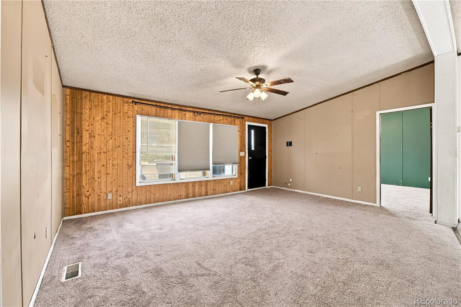 MLS Image #3 for 30 w 8th avenue,coal creek, Colorado