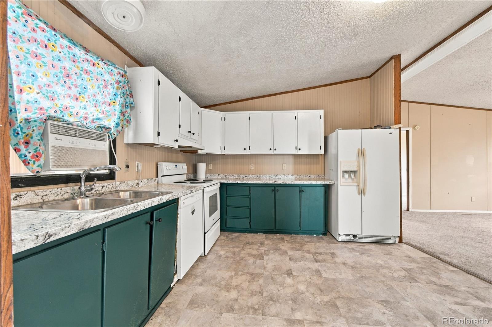 MLS Image #5 for 30 w 8th avenue,coal creek, Colorado