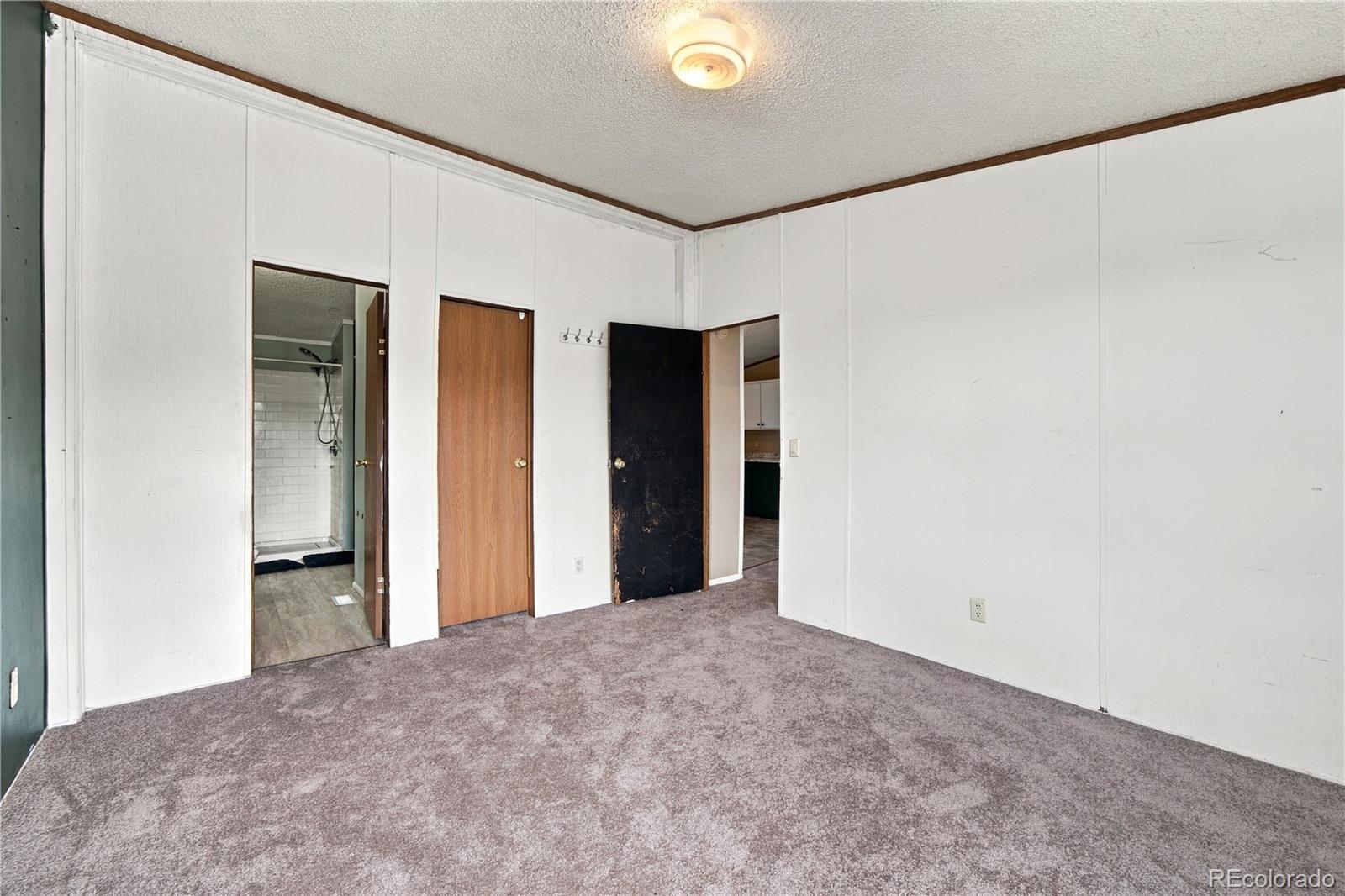 MLS Image #8 for 30 w 8th avenue,coal creek, Colorado