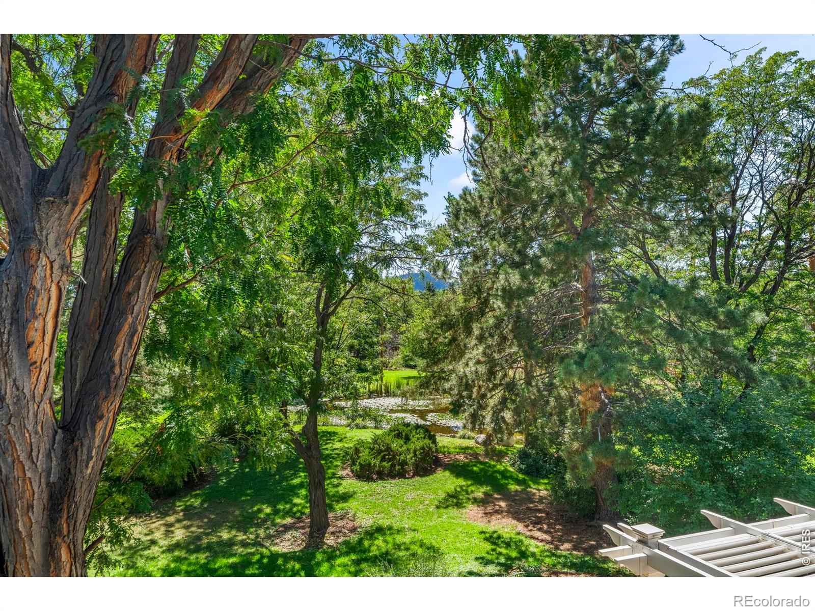MLS Image #20 for 3164  29th street,boulder, Colorado