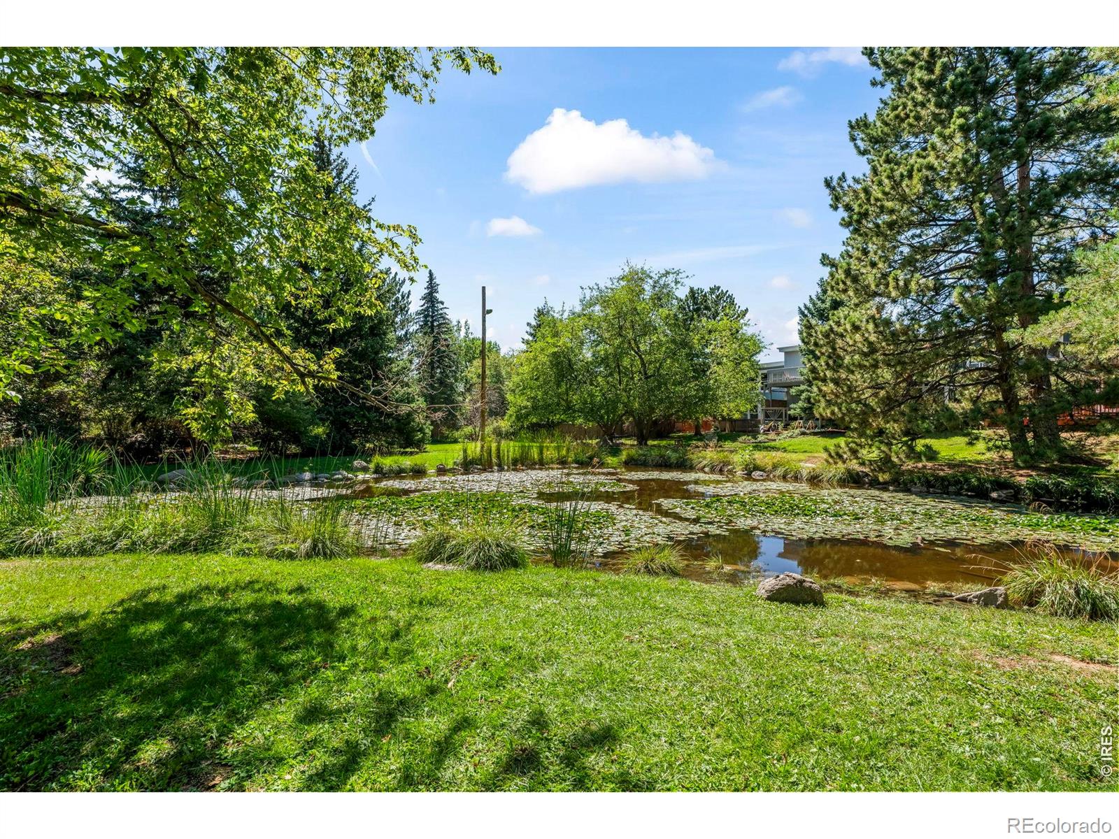 MLS Image #32 for 3164  29th street,boulder, Colorado