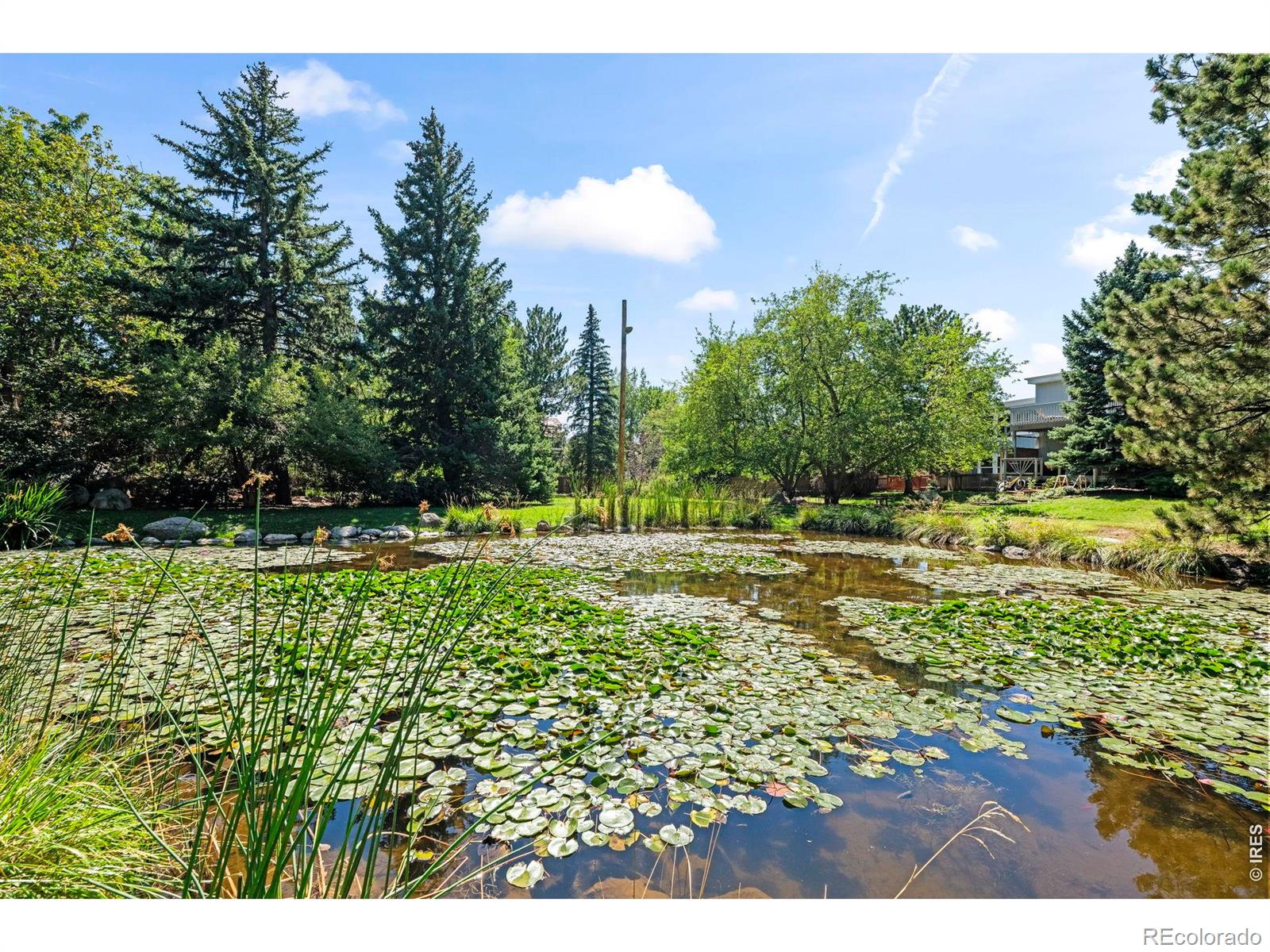 MLS Image #34 for 3164  29th street,boulder, Colorado
